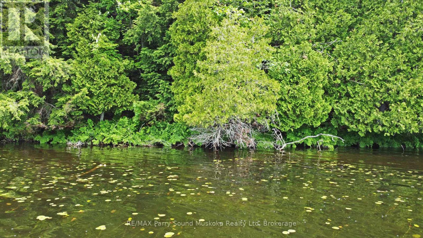 Photo 6 of Lot 1 Shields Drive, Seguin ON