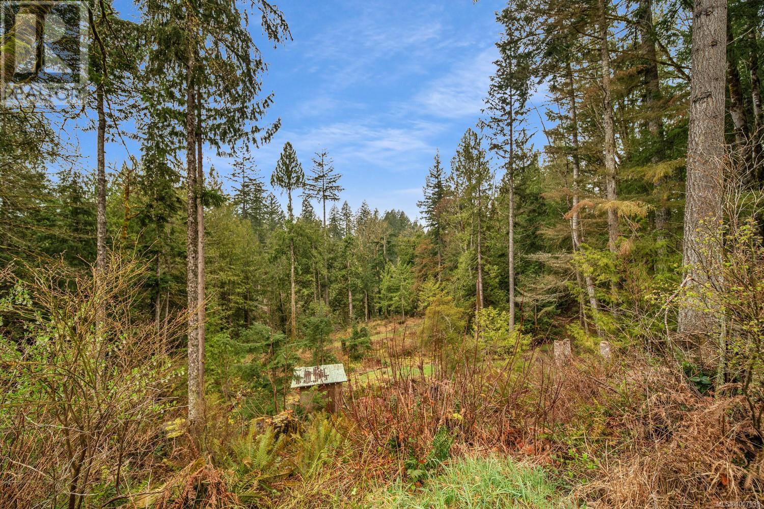 Photo 53 of 8706 Trans Canada Hwy, Chemainus BC