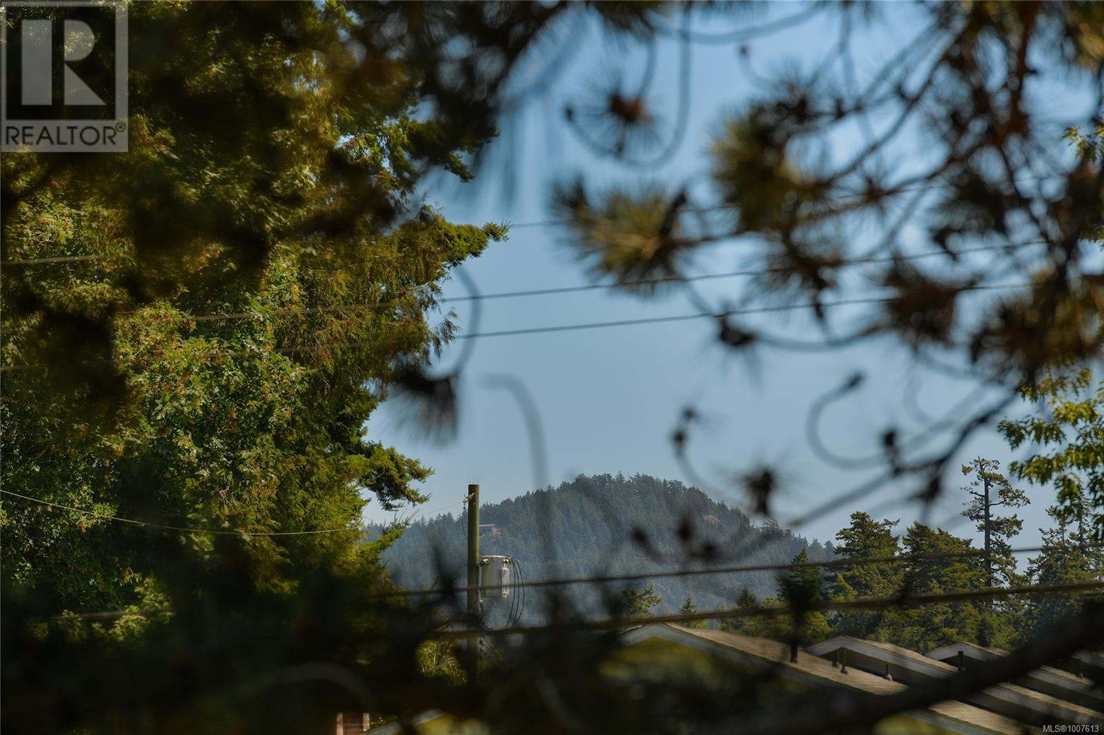 10 1956 GLENIDLE Road, Sooke