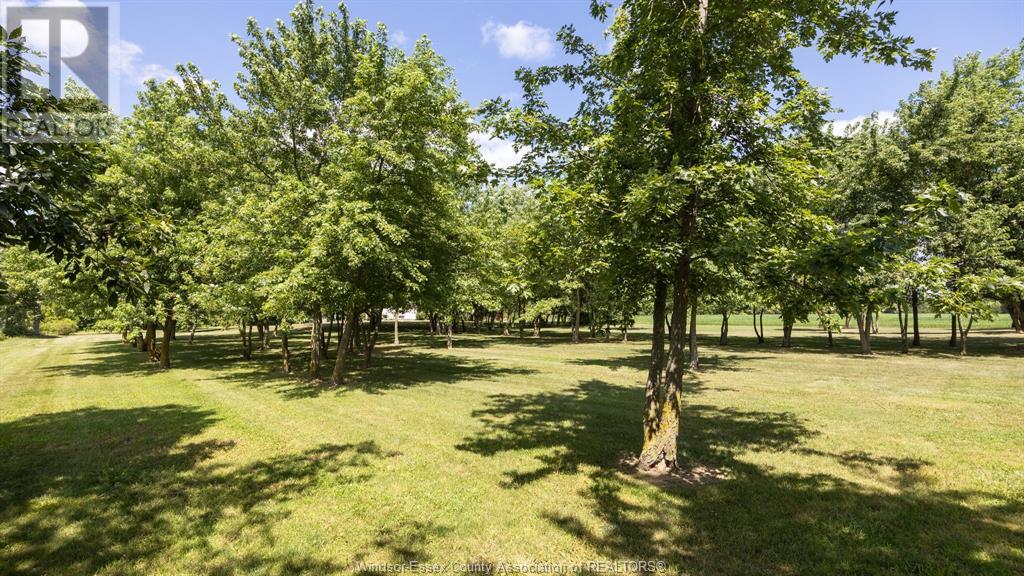 Photo 7 of 9800 9th Concession Road, Essex ON
