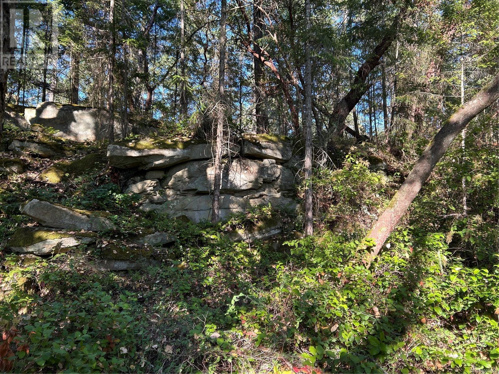 Photo 27 of Lt 49 Ruxton Island, Ruxton Island BC