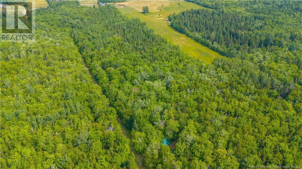 Photo 22 of Lot Paquetville Road, Paquetville NB