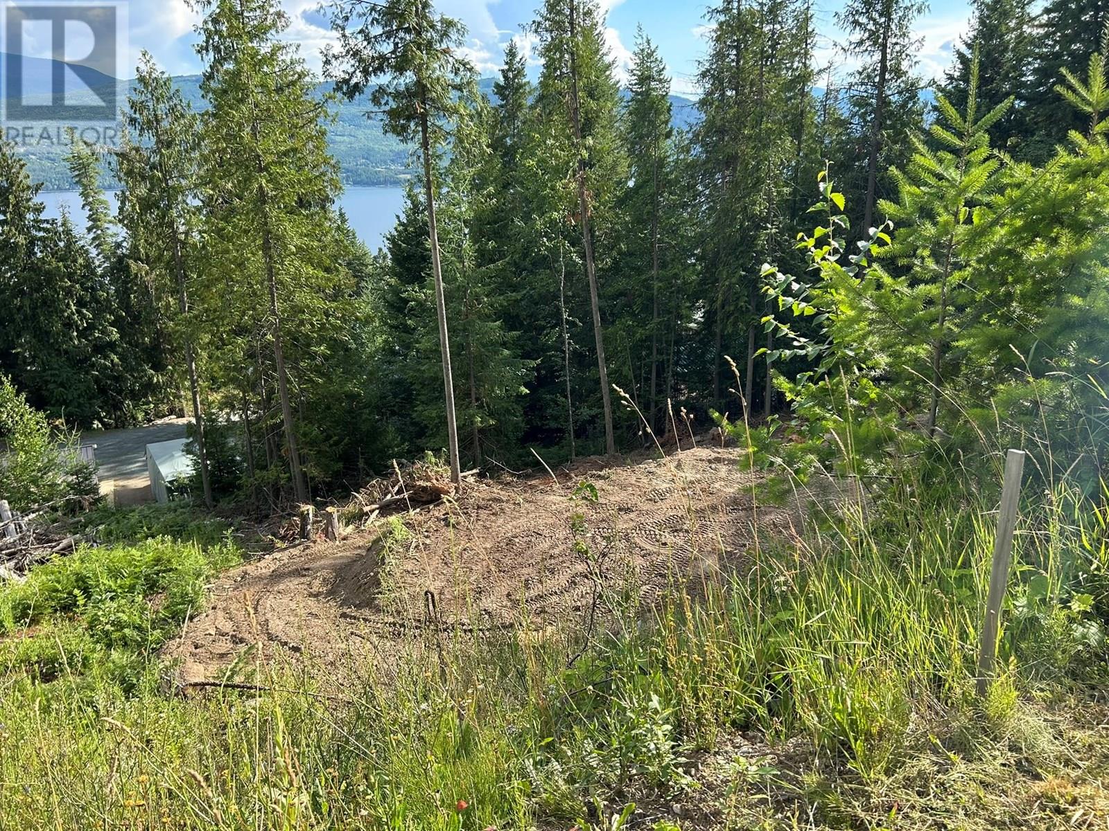 Photo 5 of Castle Heights Lot 68, Anglemont BC