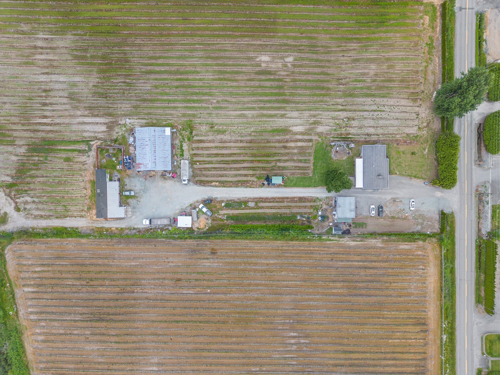 Photo 4 of 3811 Lefeuvre Road, Abbotsford BC