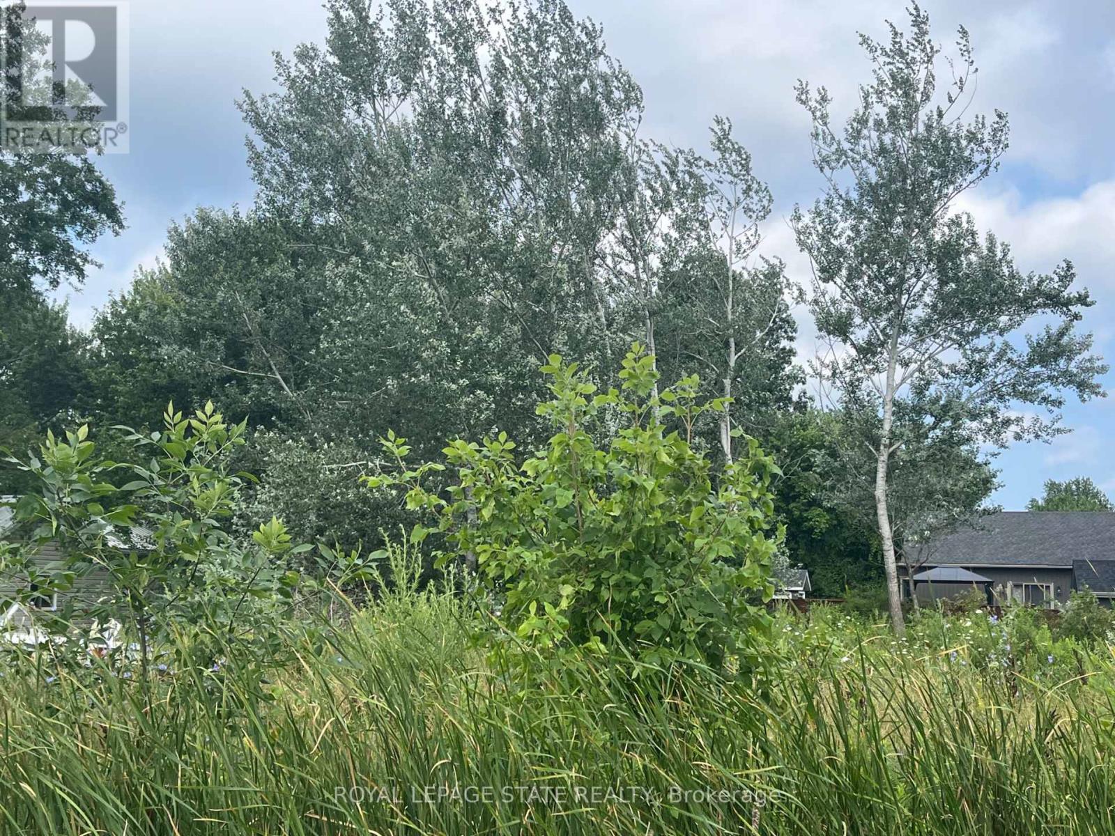 Photo 5 of 17 Dickhout Road, Haldimand ON