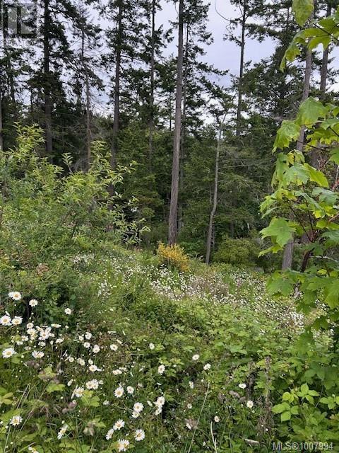  3857 Duke Road, Metchosin