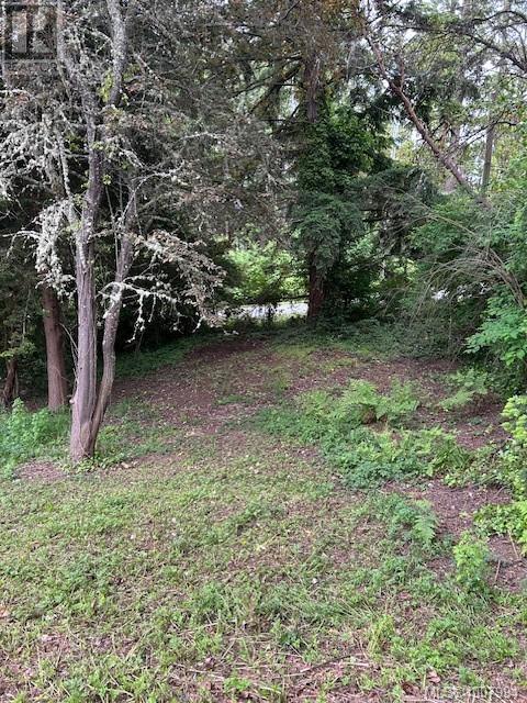  3857 Duke Road, Metchosin