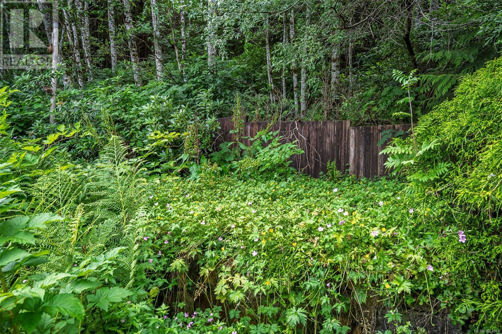 Photo 43 of 540 Macmillan Dr, Sayward BC