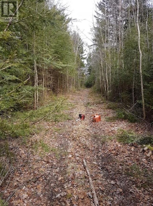 Property 3 of 6 of Lots Old North Range Road