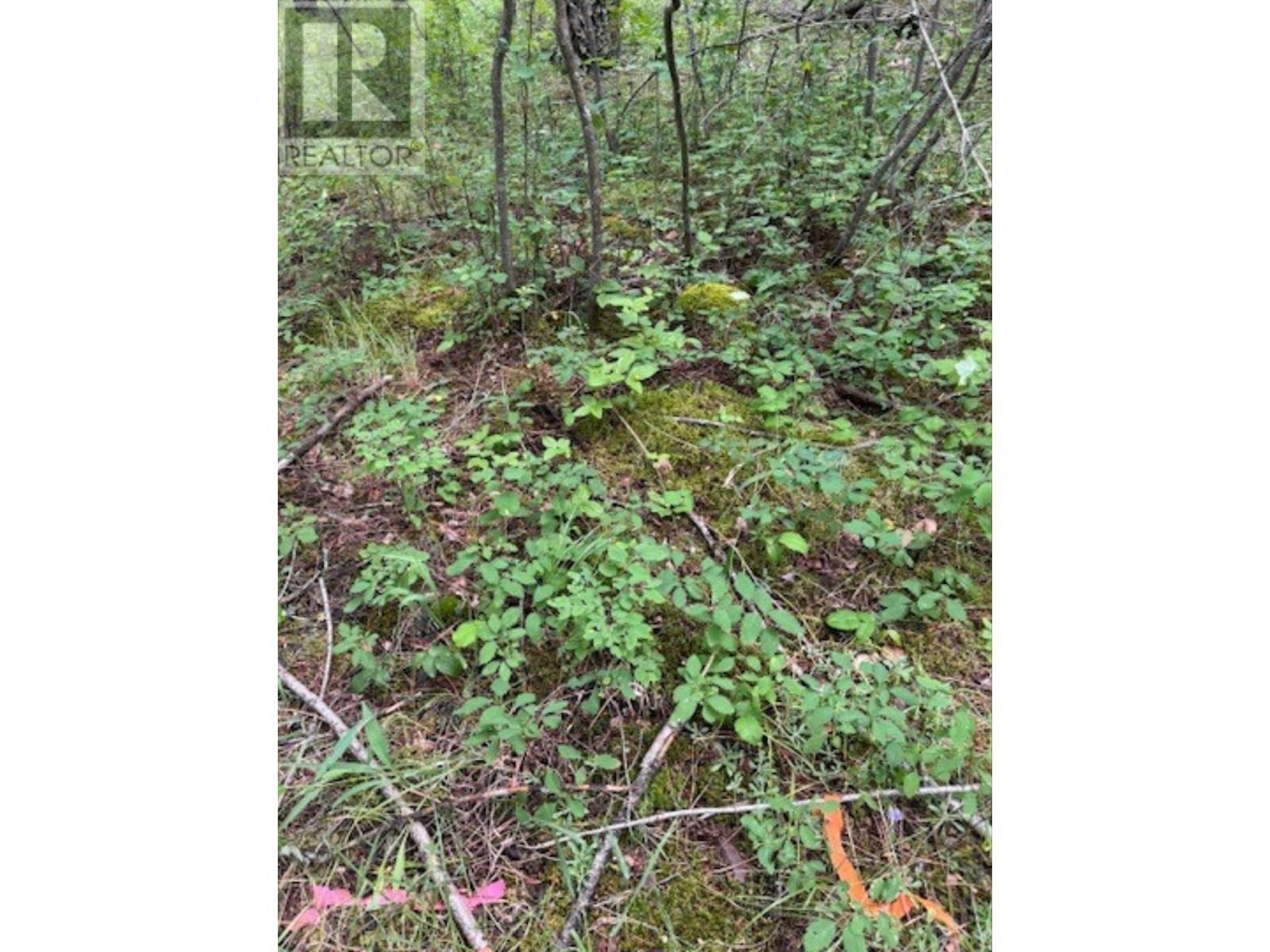 Holbrook Street - photo 2