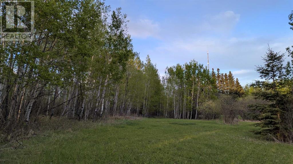 Photo 7 of 4 70420 Range Road 245 Road, Rural Greenview No 16 Md Of AB