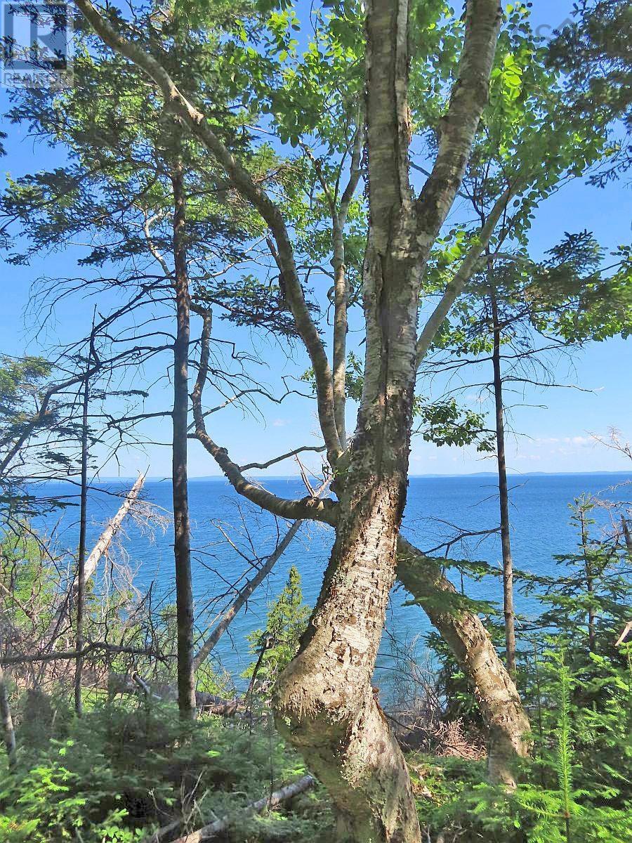 Property 14 of 45 of 195 Acres West Bay Highway