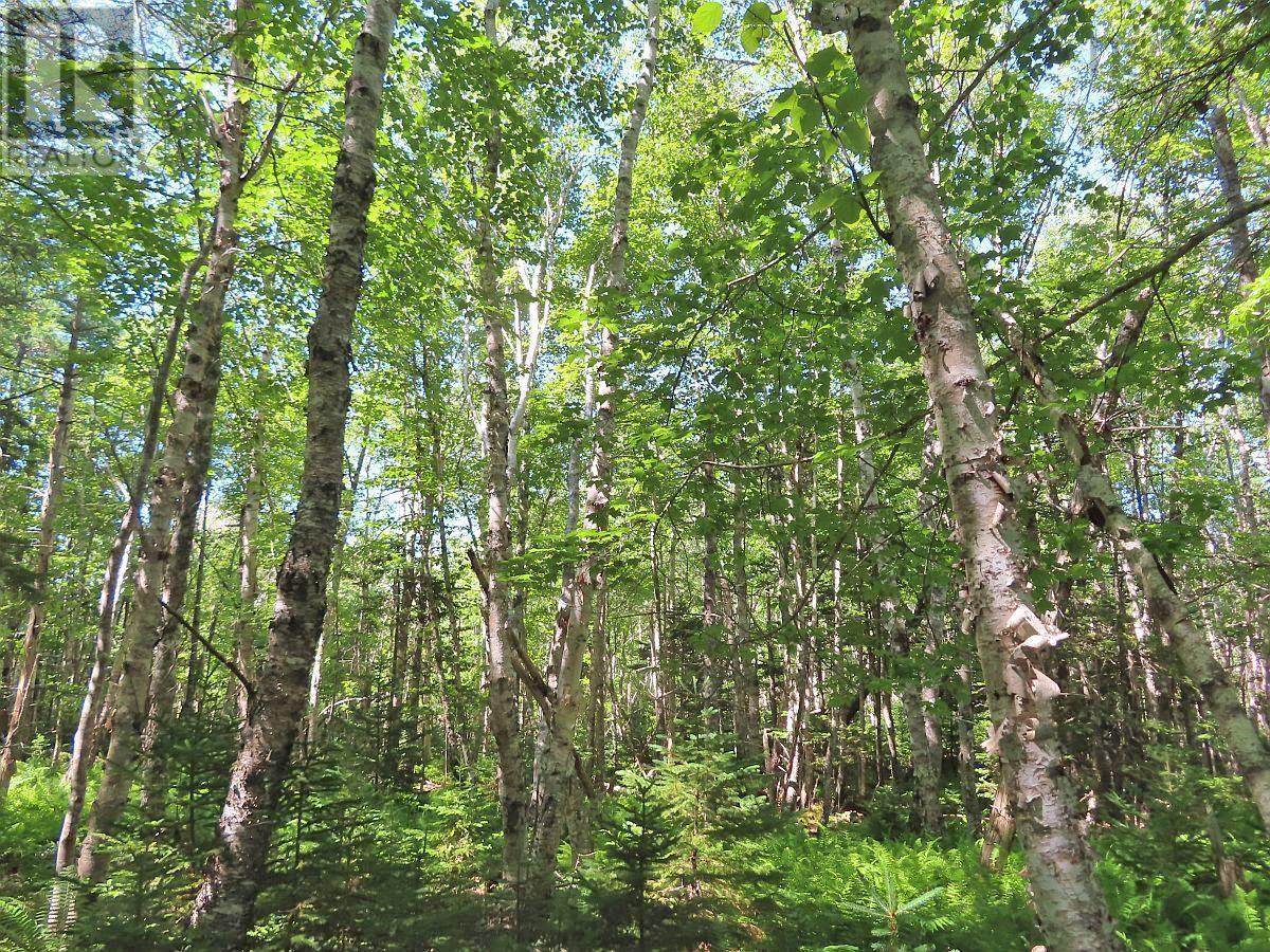 Property 31 of 45 of 195 Acres West Bay Highway