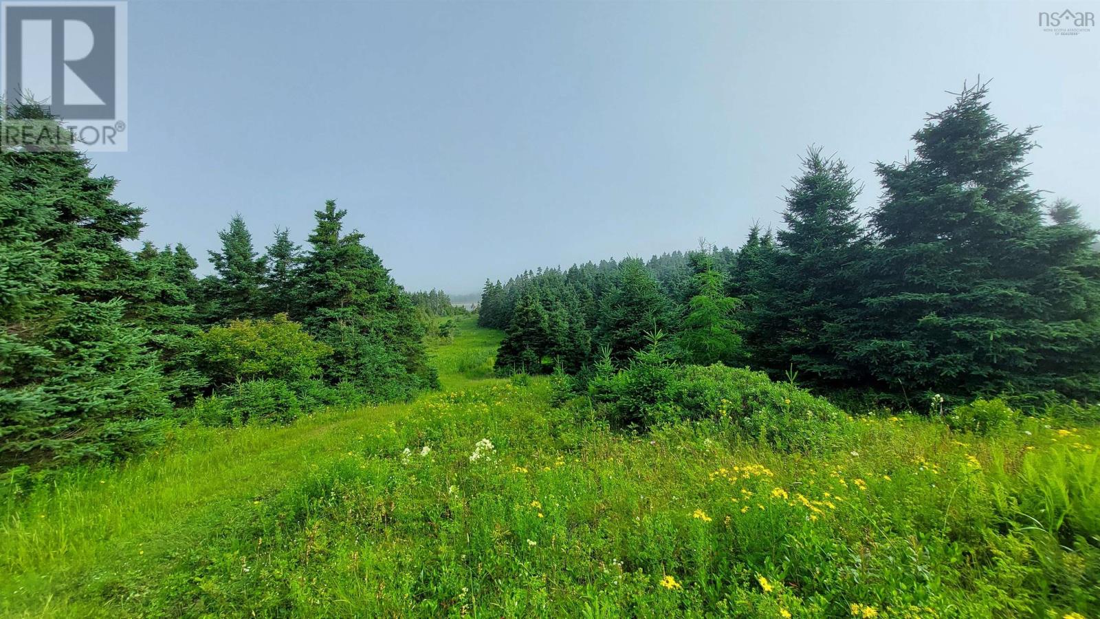 Property 6 of 15 of 26 acre 247 Highway