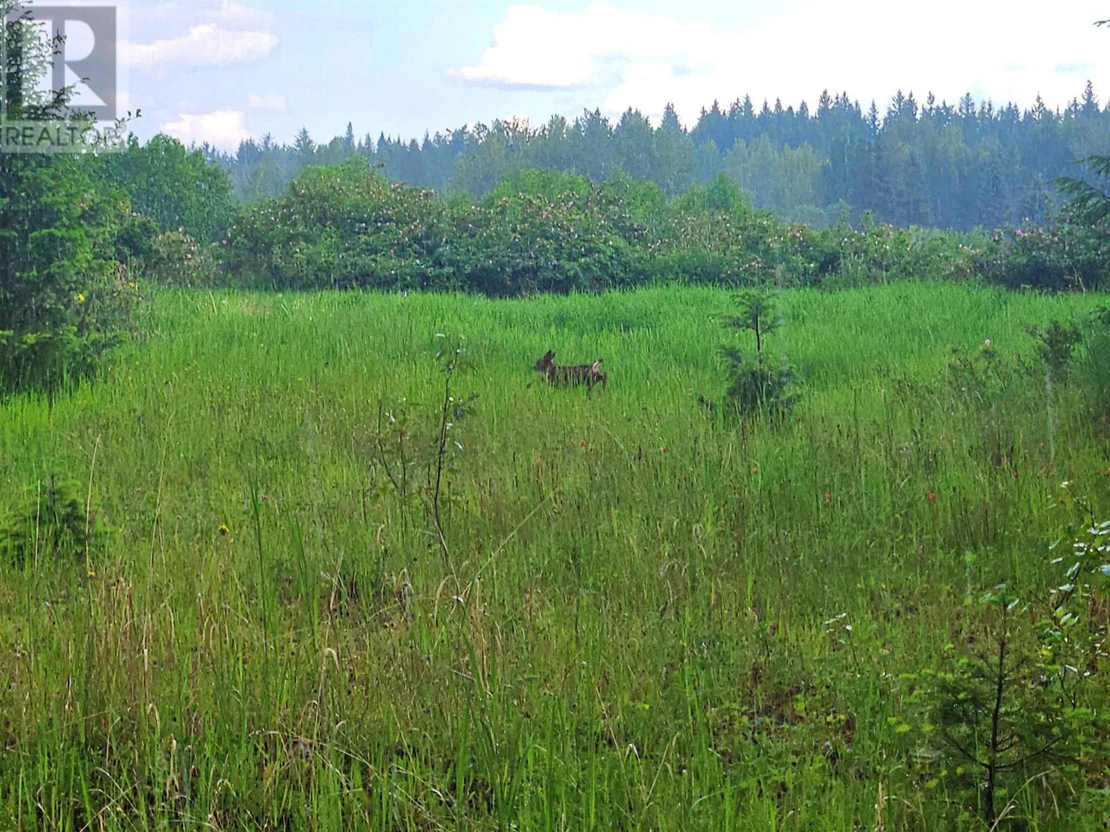 LOT C NORWOOD ROAD, Quesnel