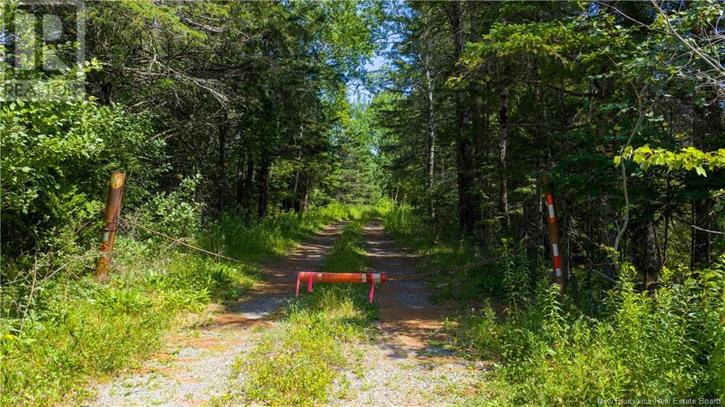 Photo 14 of Lot Lakeside Road, Smithtown NB