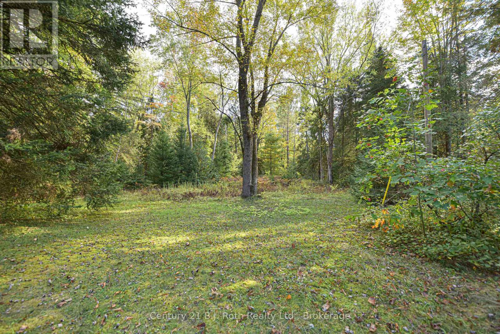 Photo 8 of 6571 Pioneer Village Lane, Ramara ON