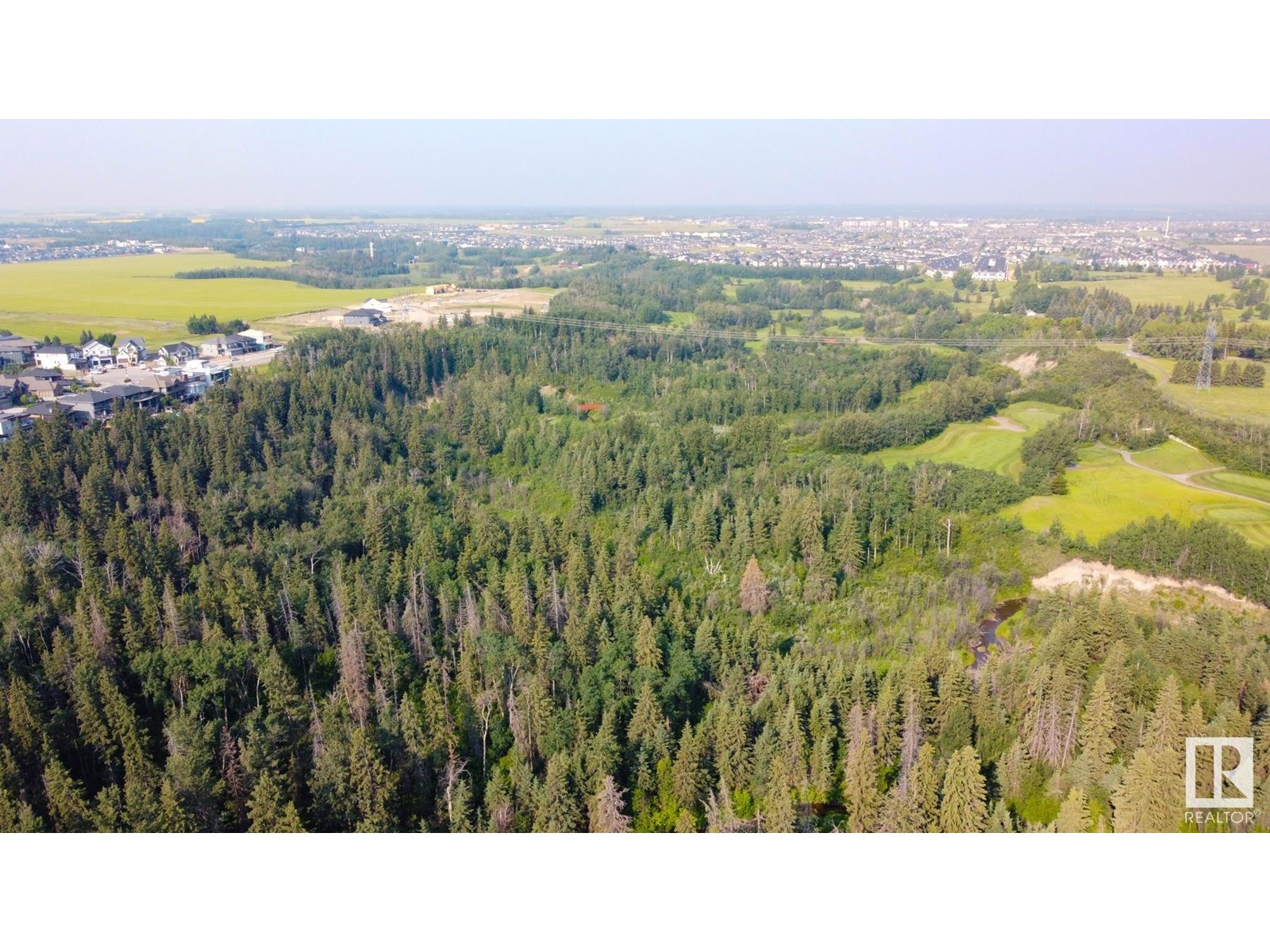 Photo 72 of 1311 Hainstock Wy Sw, Edmonton AB