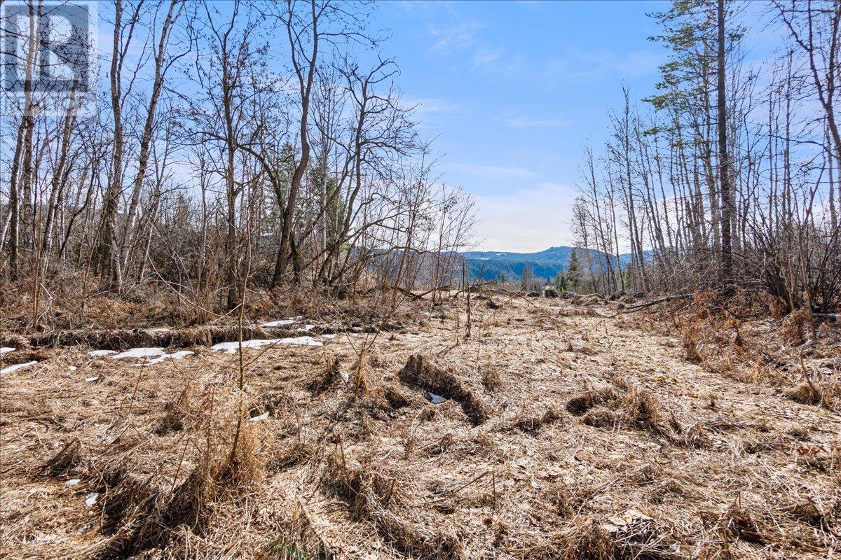 1220 37th Street, Castlegar