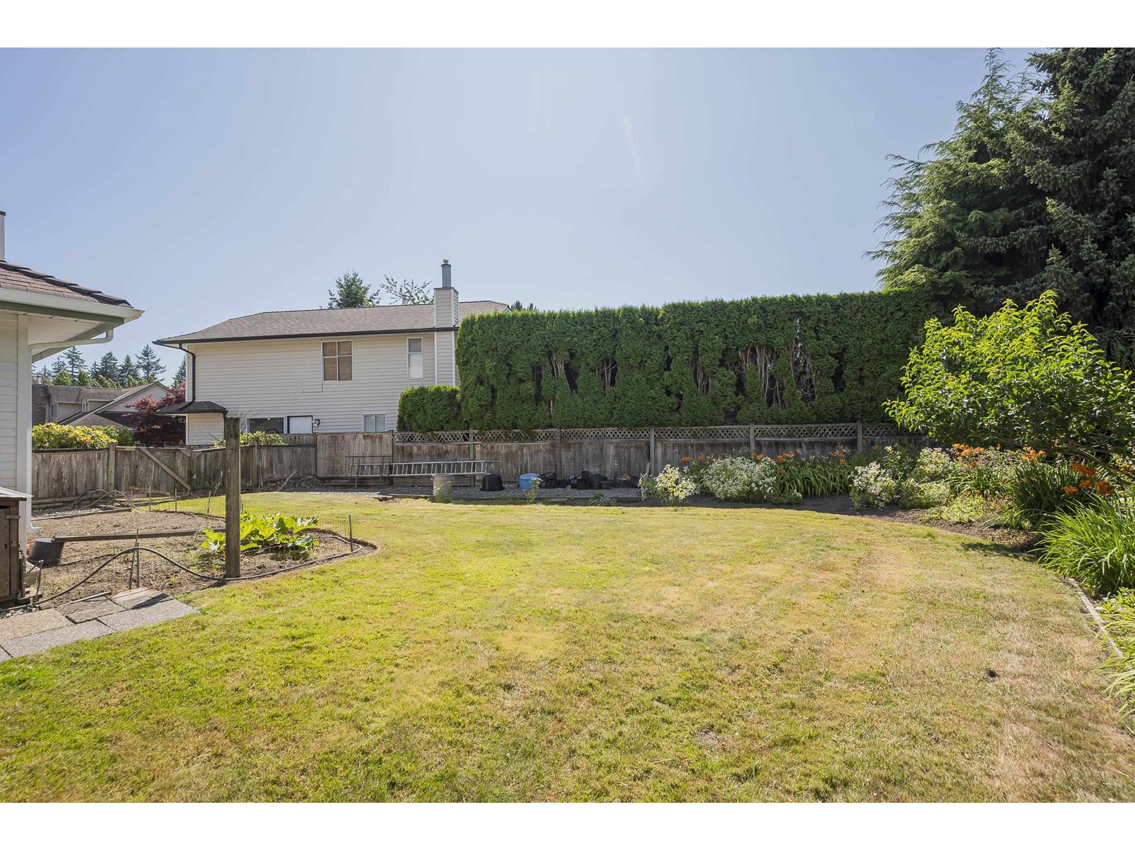 Photo 10 of 3389 197 Street, Langley BC