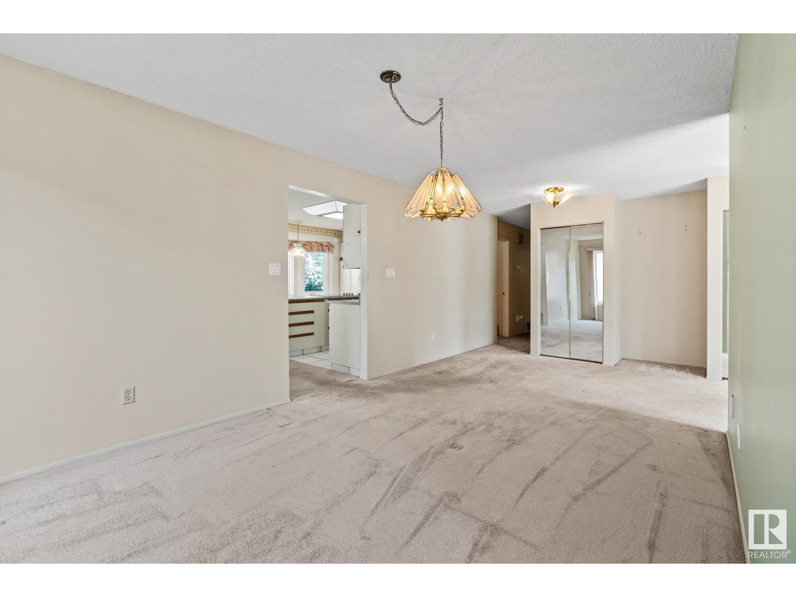 Photo 60 of 1126 105 St Nw, Edmonton AB