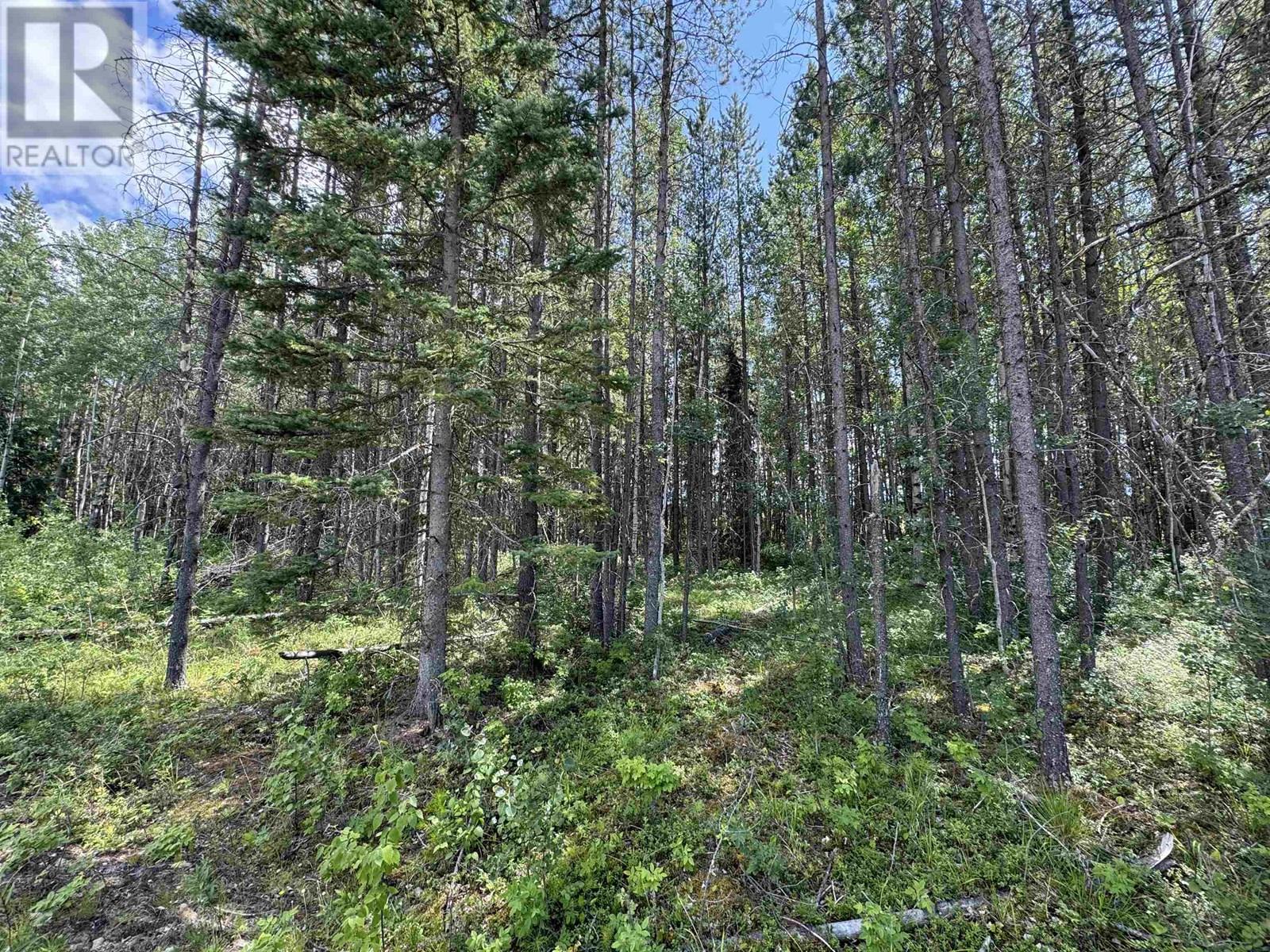 1075 18TH AVENUE, Valemount