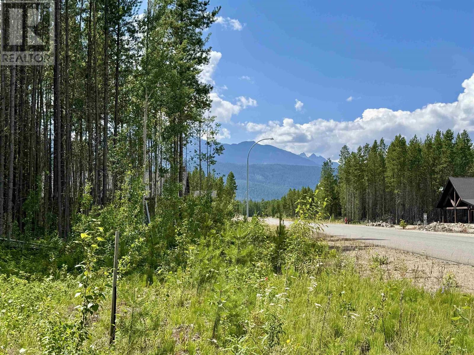 1075 18TH AVENUE, Valemount