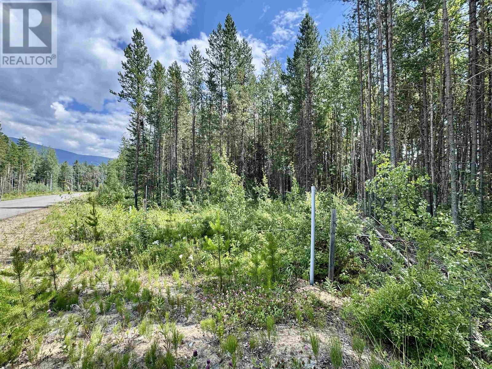 1075 18TH AVENUE, Valemount