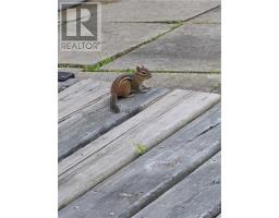 295 Riverside Road, Britt, ON P0G1A0 Photo 14