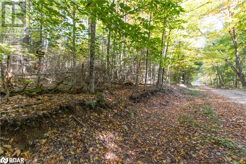Photo 6 of 0 Lynx Lake Road, Huntsville ON