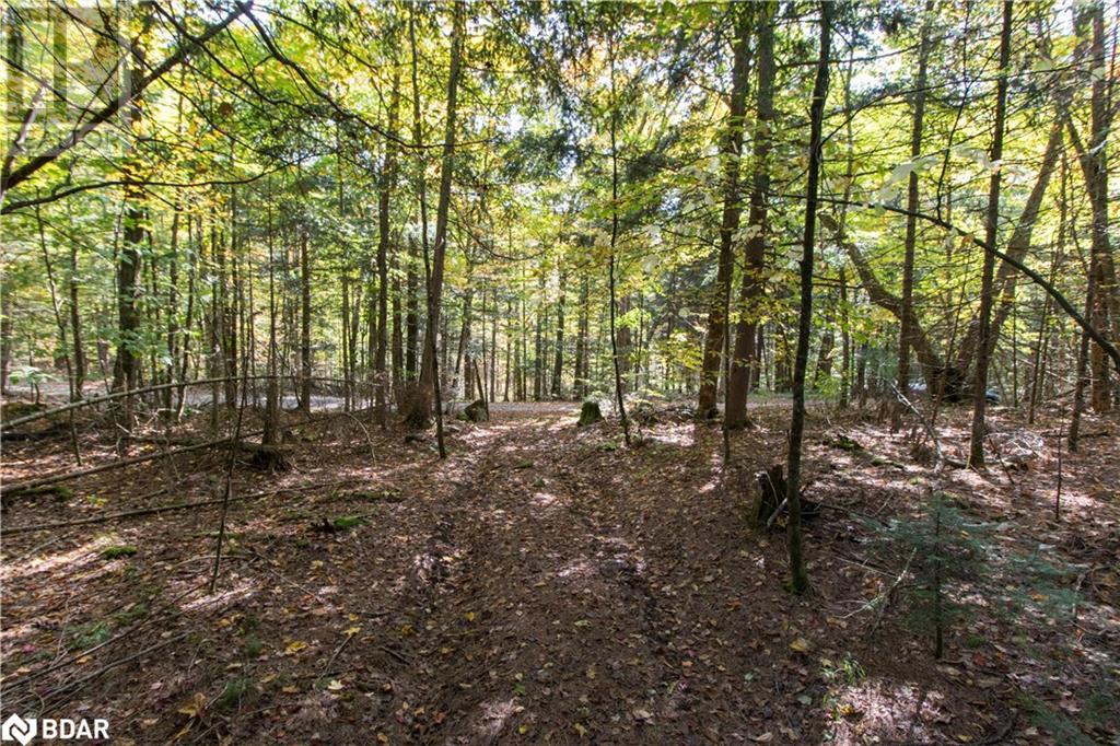 Photo 9 of 0 Lynx Lake Road, Huntsville ON
