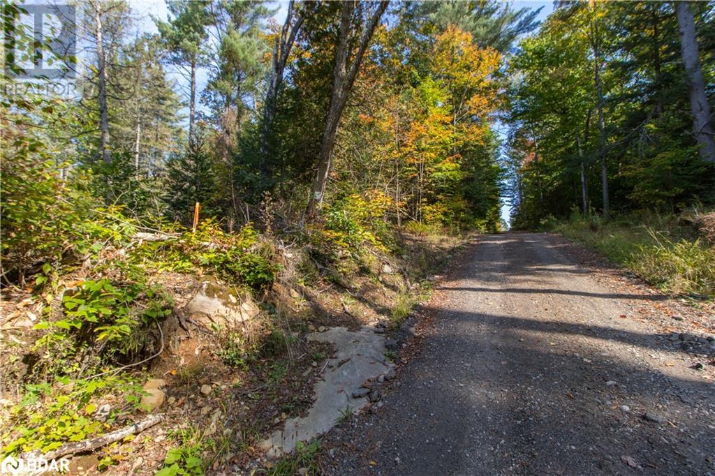 Photo 11 of 0 Lynx Lake Road, Huntsville ON