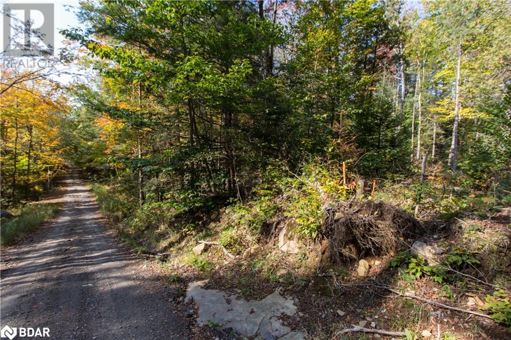 Photo 15 of 0 Lynx Lake Road, Huntsville ON