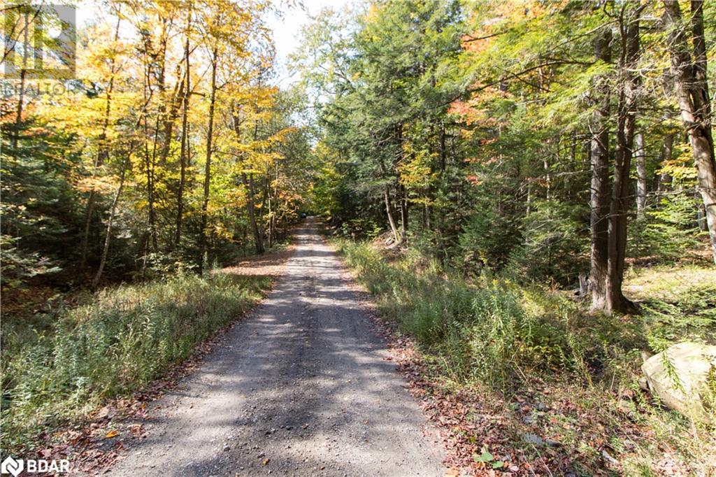 Photo 7 of 0 Lynx Lake Road, Huntsville ON