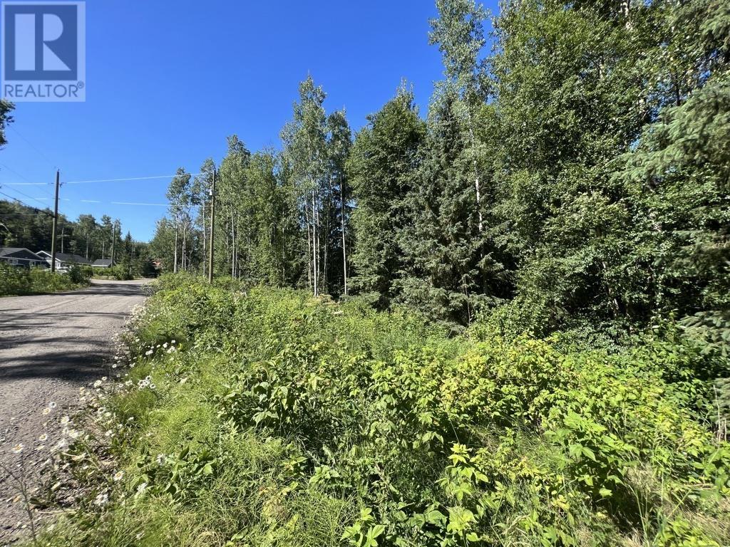 1 3000 DAHLIE Road - photo 2