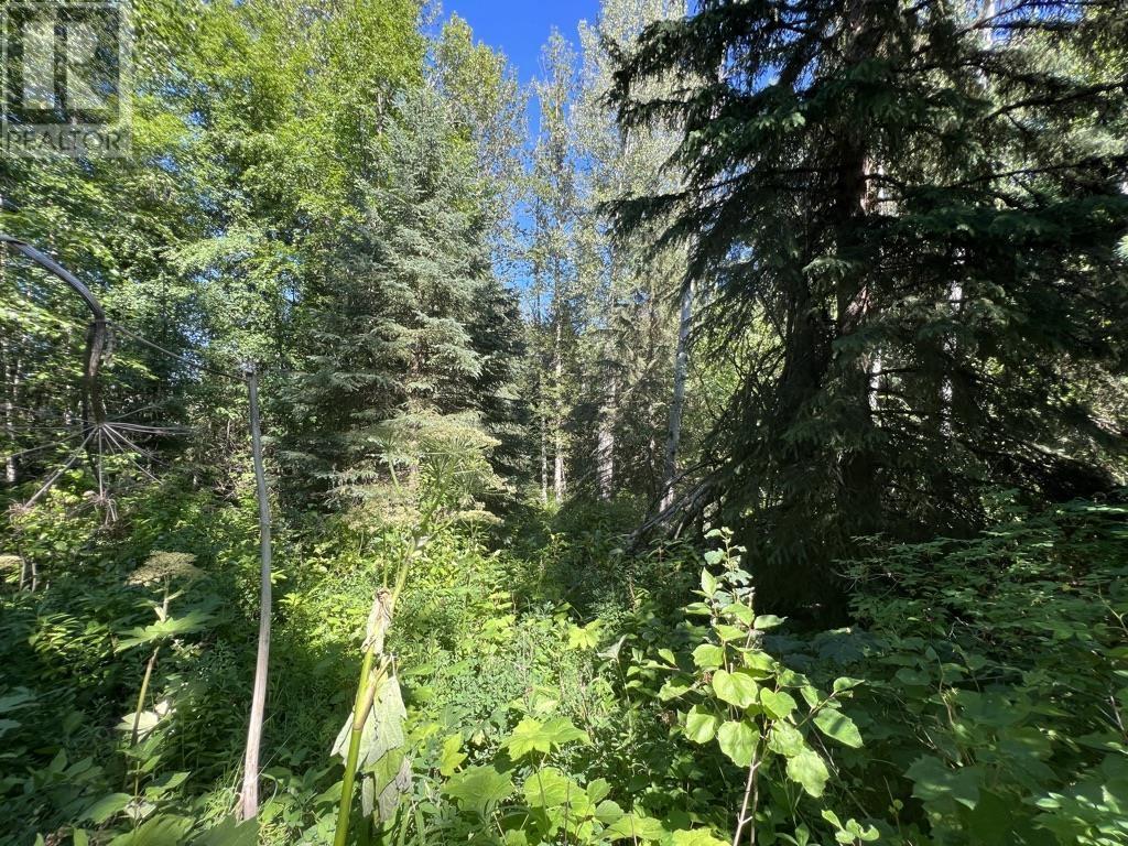 1 3000 DAHLIE ROAD, Smithers