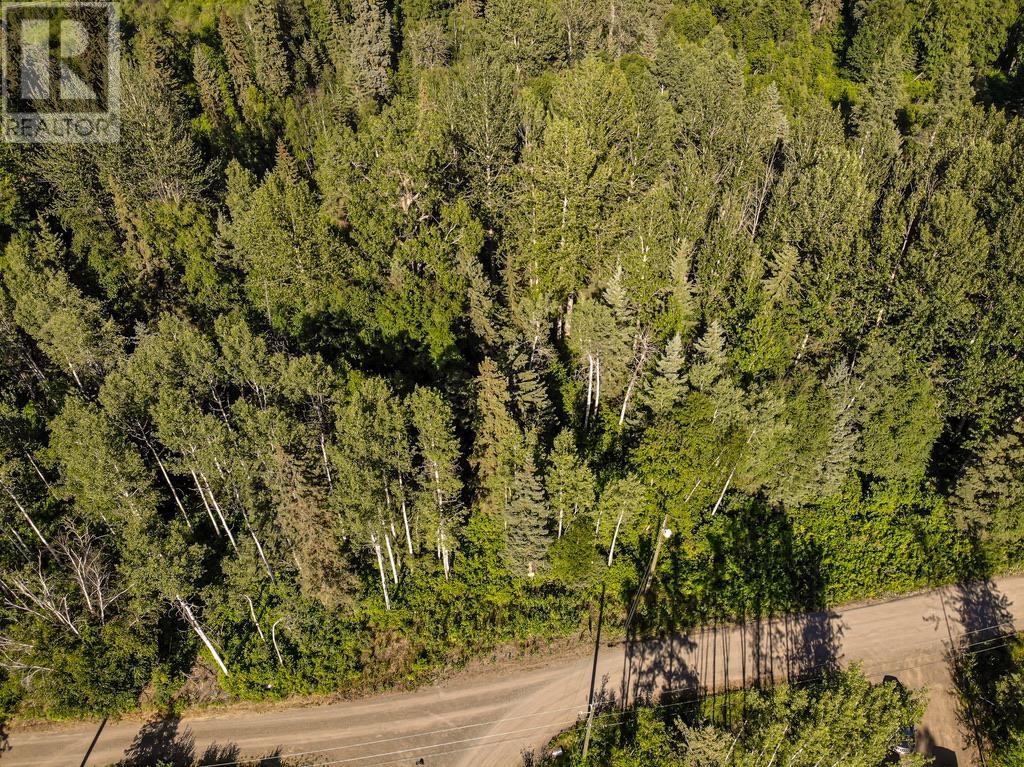 1 3000 DAHLIE ROAD, Smithers