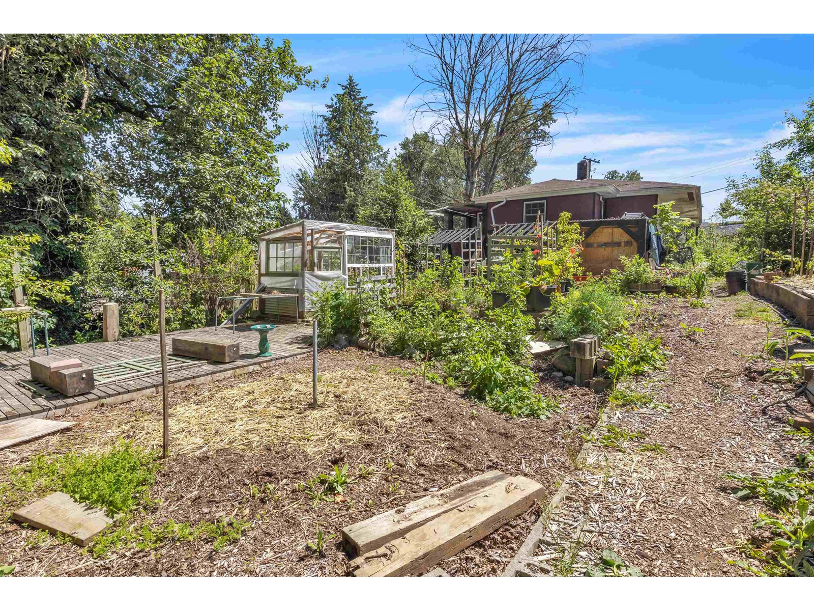 Photo 33 of 33721 Morey Avenue, Abbotsford BC