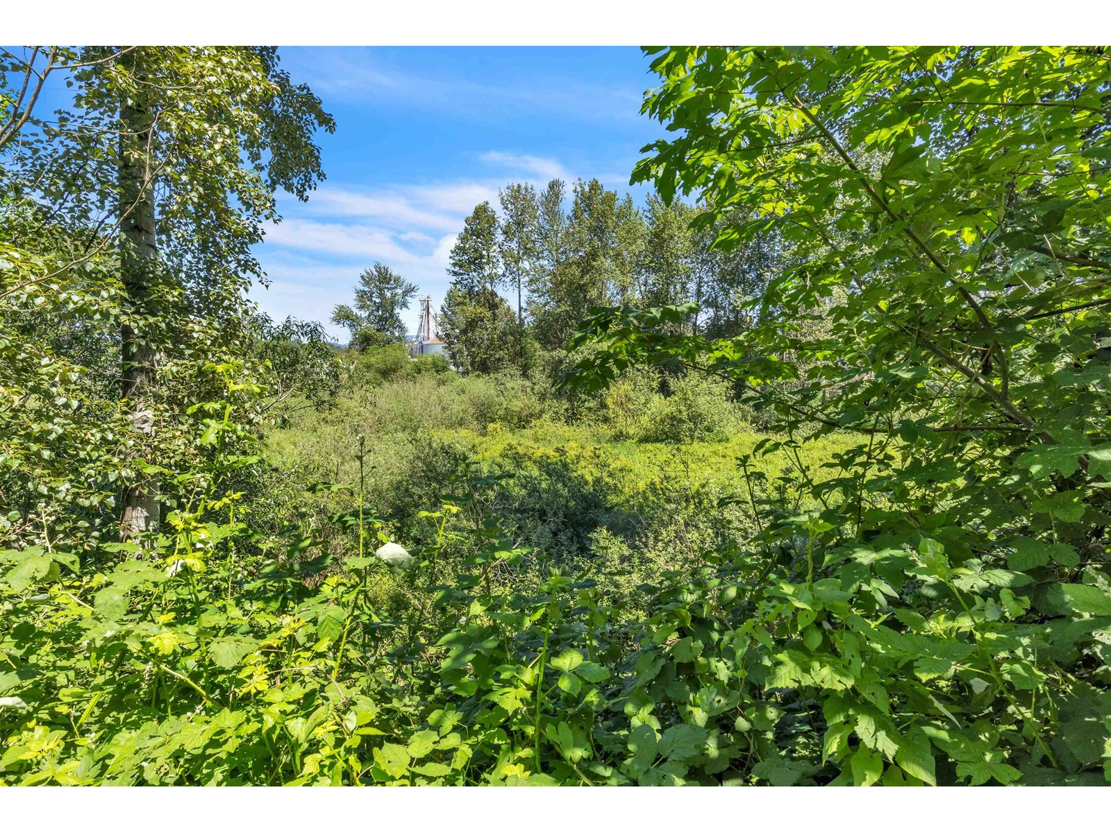 Photo 40 of 33721 Morey Avenue, Abbotsford BC