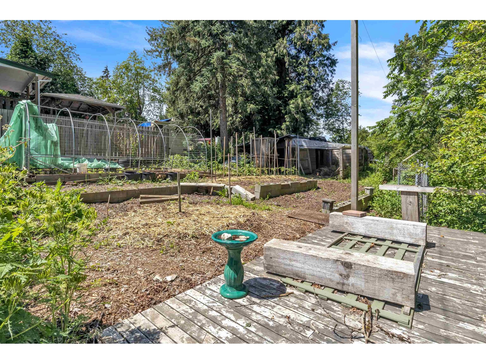 Photo 32 of 33721 Morey Avenue, Abbotsford BC