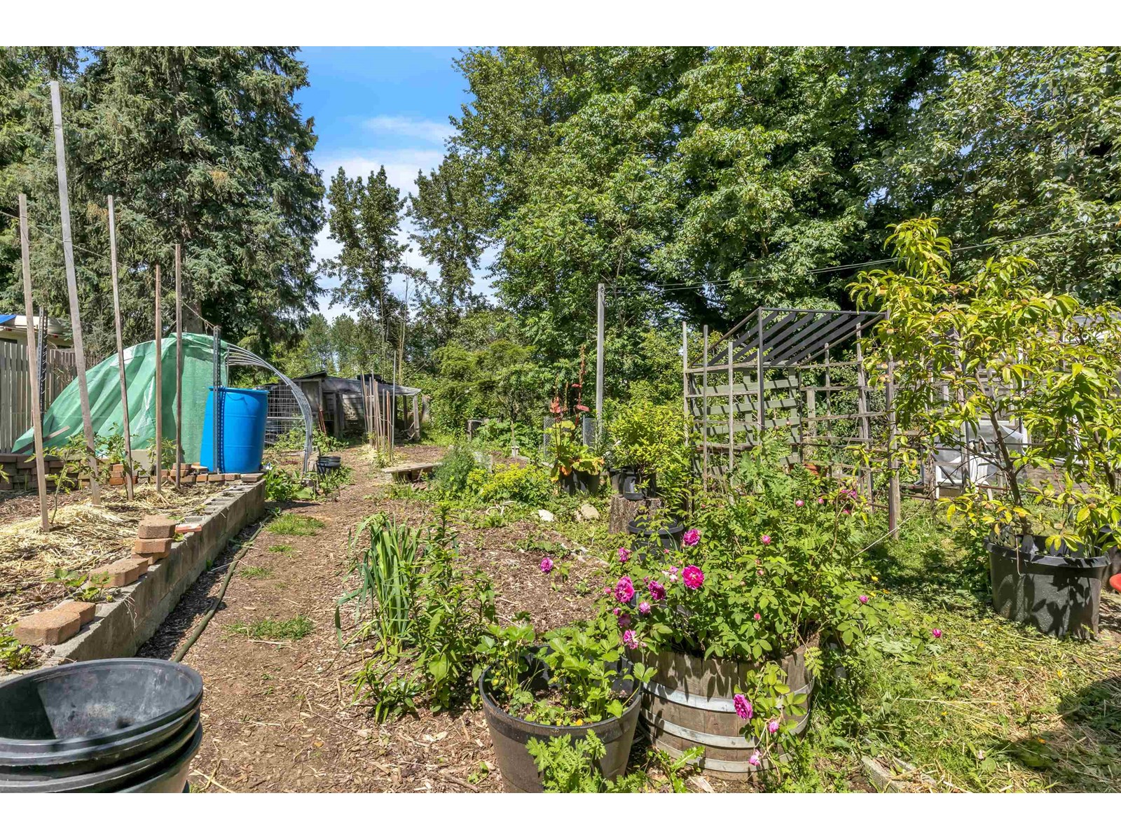 Photo 36 of 33721 Morey Avenue, Abbotsford BC