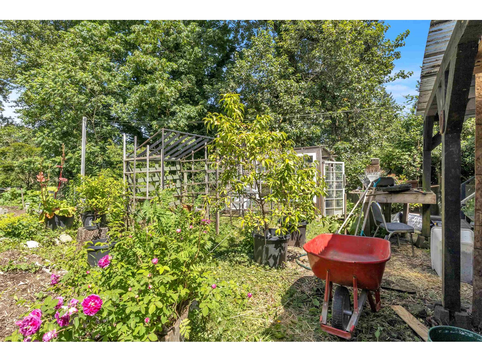 Photo 37 of 33721 Morey Avenue, Abbotsford BC
