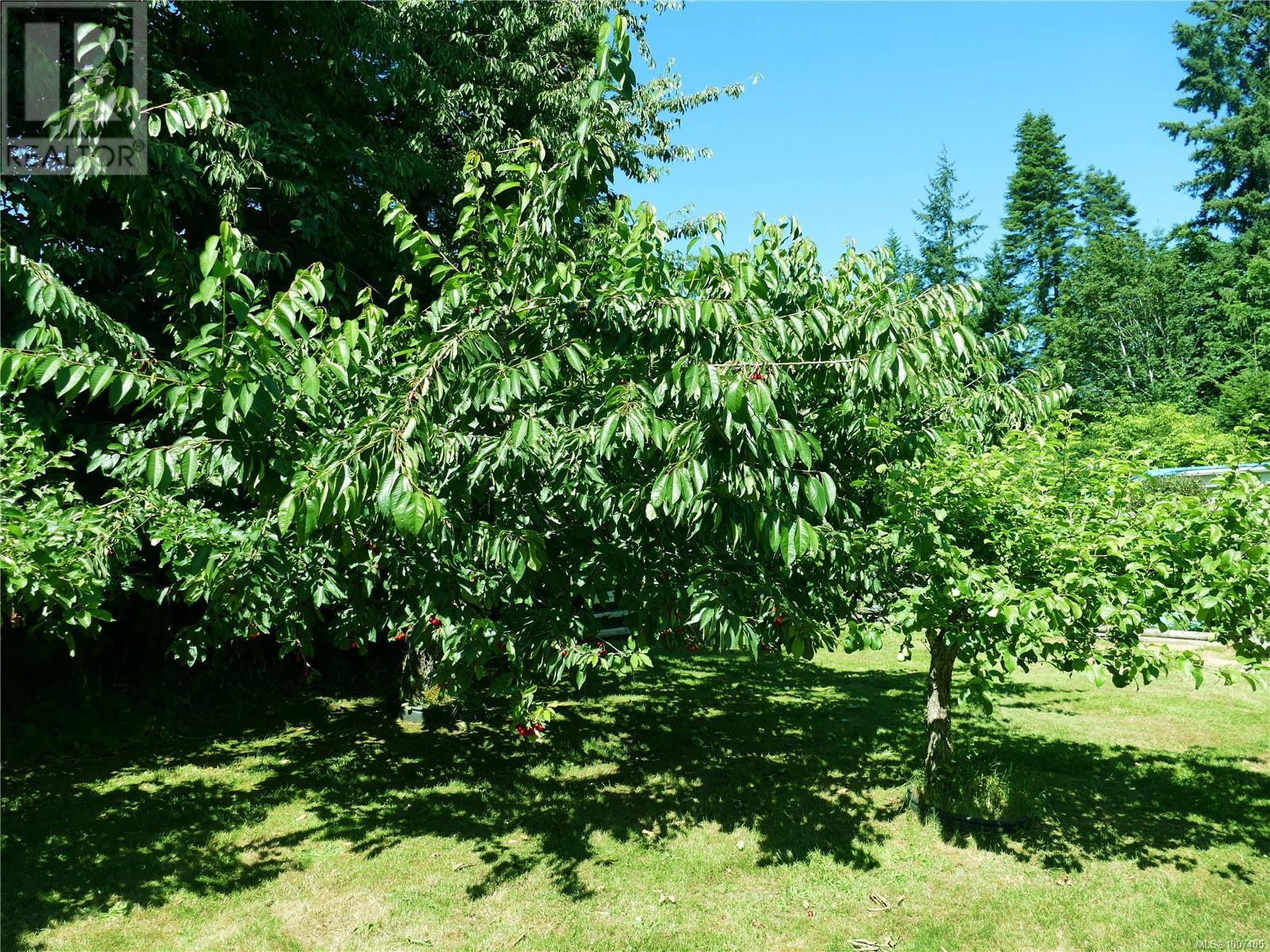 Photo 29 of 6637 Walker Frontage Rd, Fanny Bay BC
