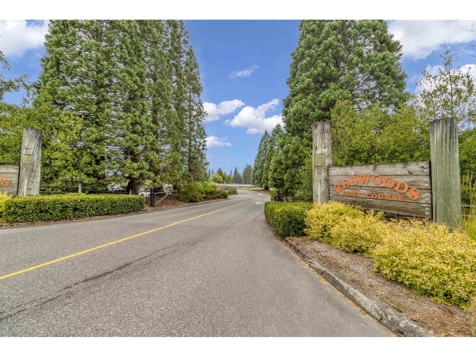 Photo 38 of 216 20286 72 B Avenue, Langley BC