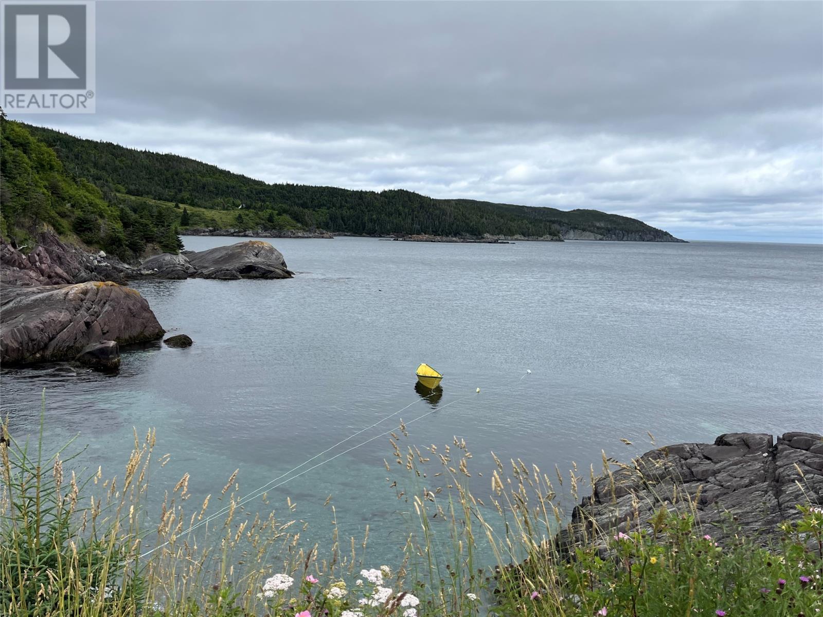 Photo 4 of 217 Admirals Cove Road, Cape Broyle NL