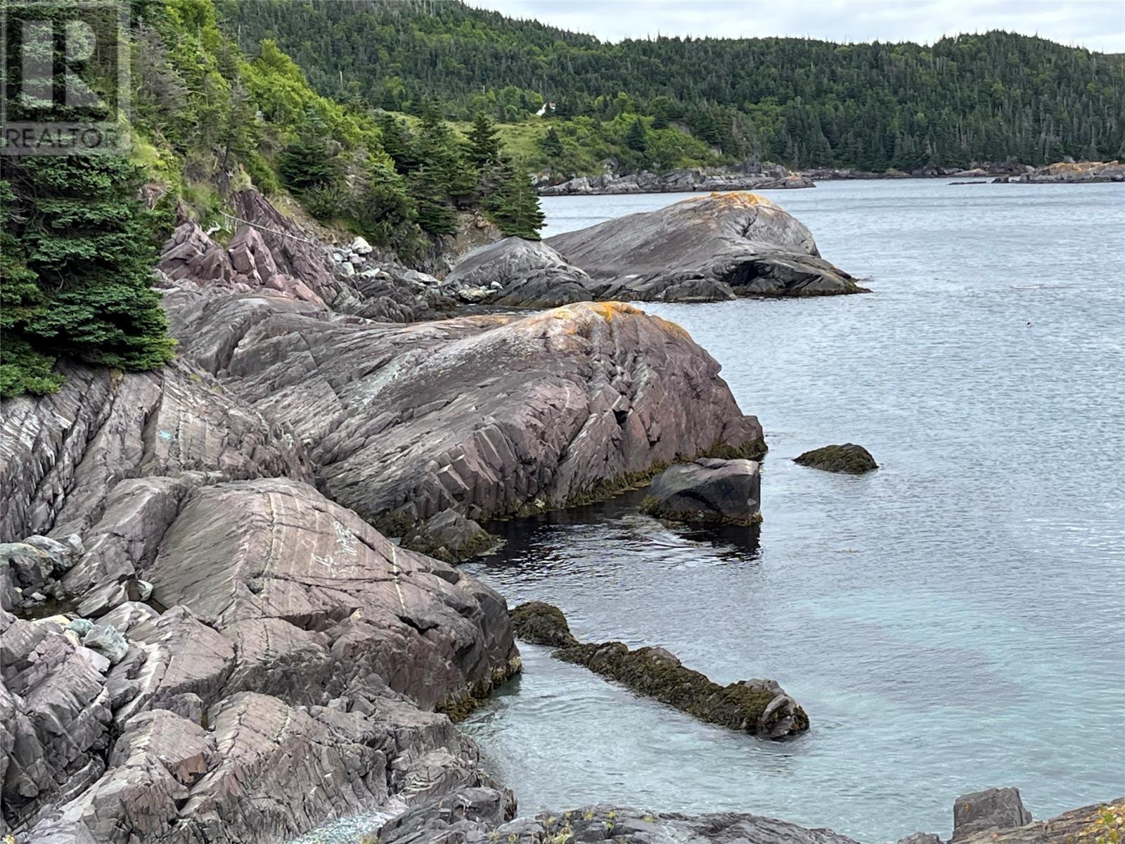 Photo 9 of 217 Admirals Cove Road, Cape Broyle NL