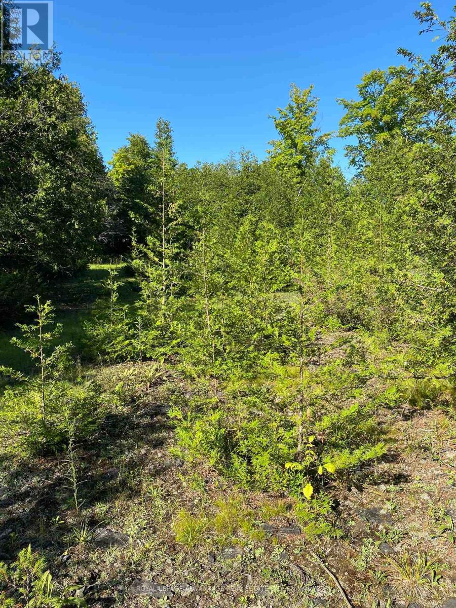 Photo 4 of 14311 County 15 Road, Merrickvillewolford ON