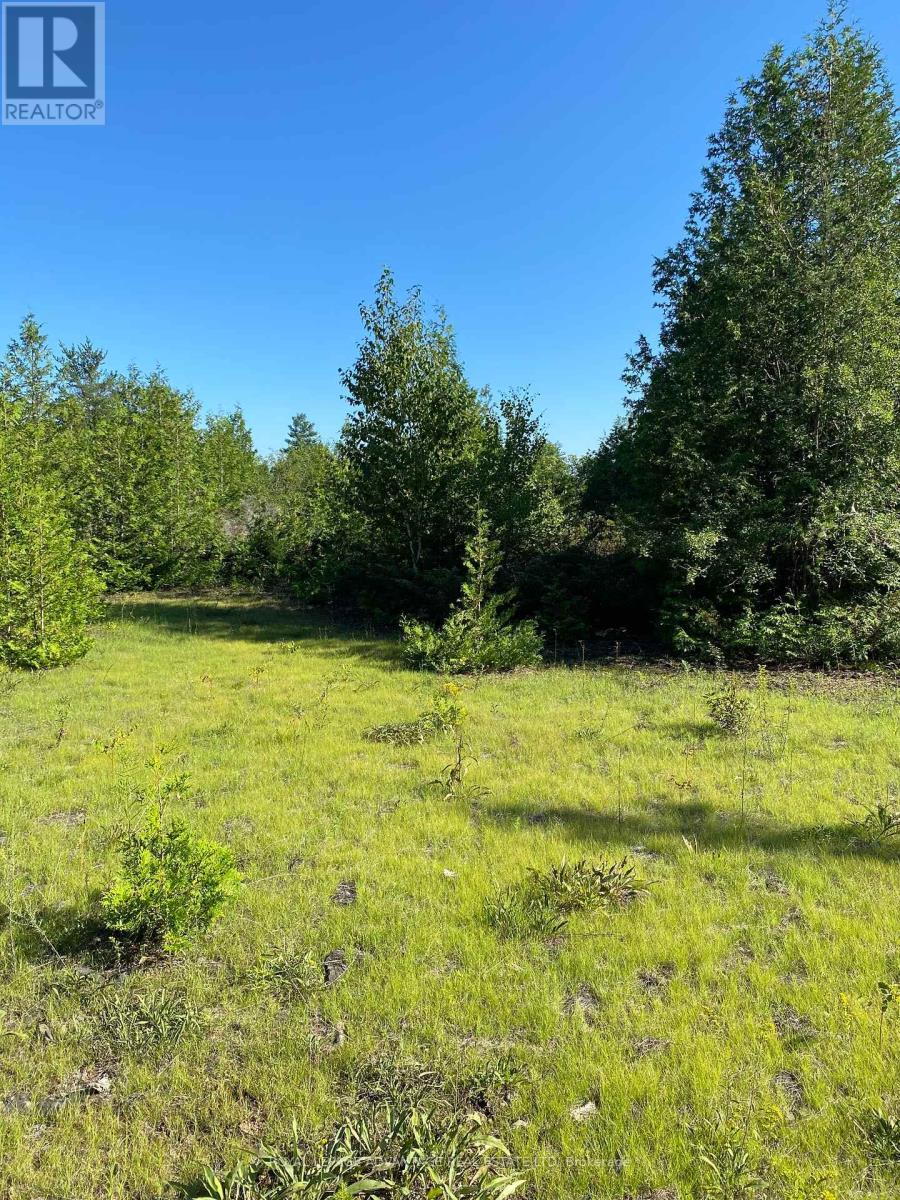 Photo 10 of 14311 County 15 Road, Merrickvillewolford ON