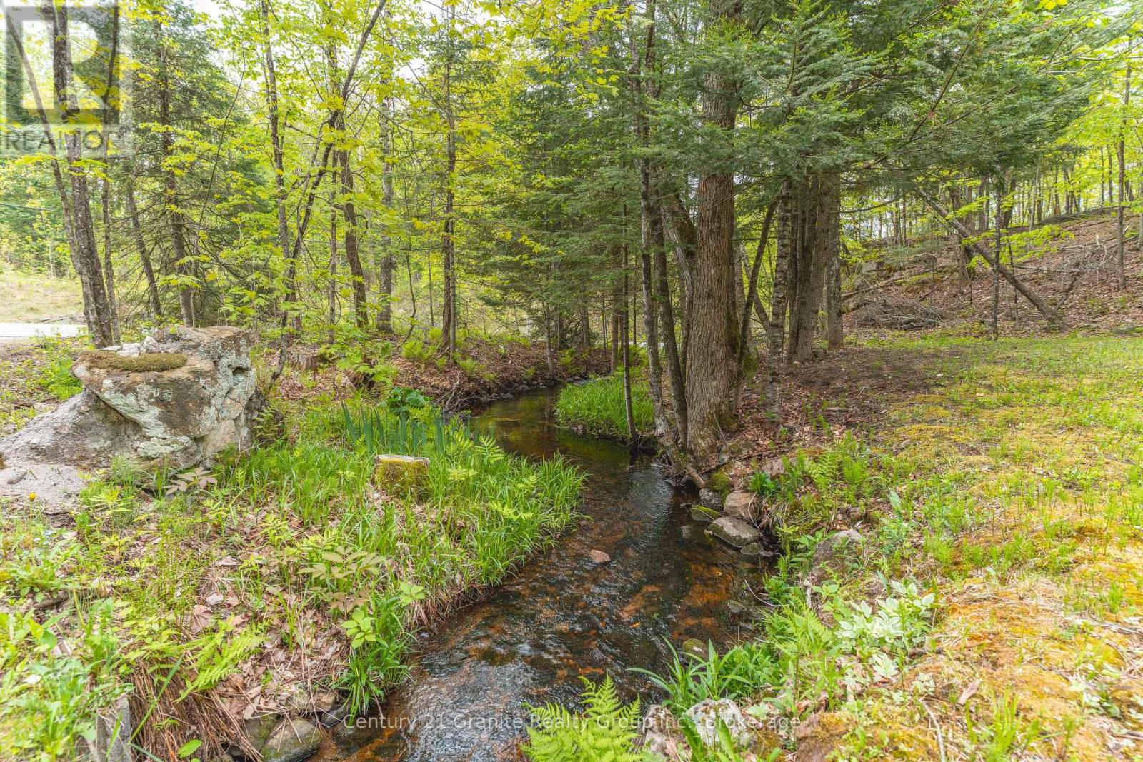 Photo 7 of 7032 County Road 121, Minden Hills ON
