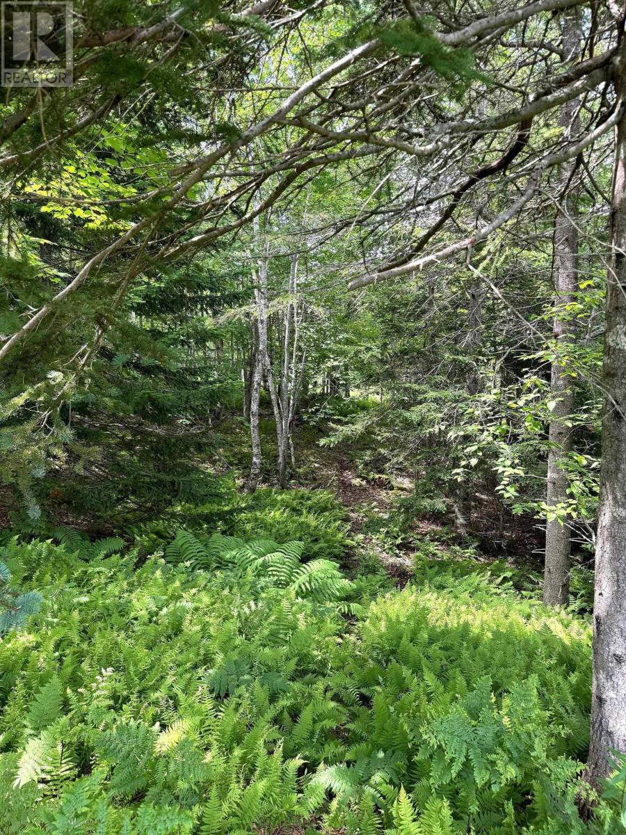 Property 37 of 38 of Nature Dream Boulevard